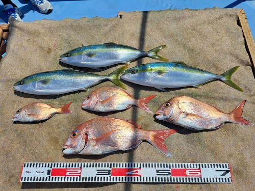 2025-05-05の釣果